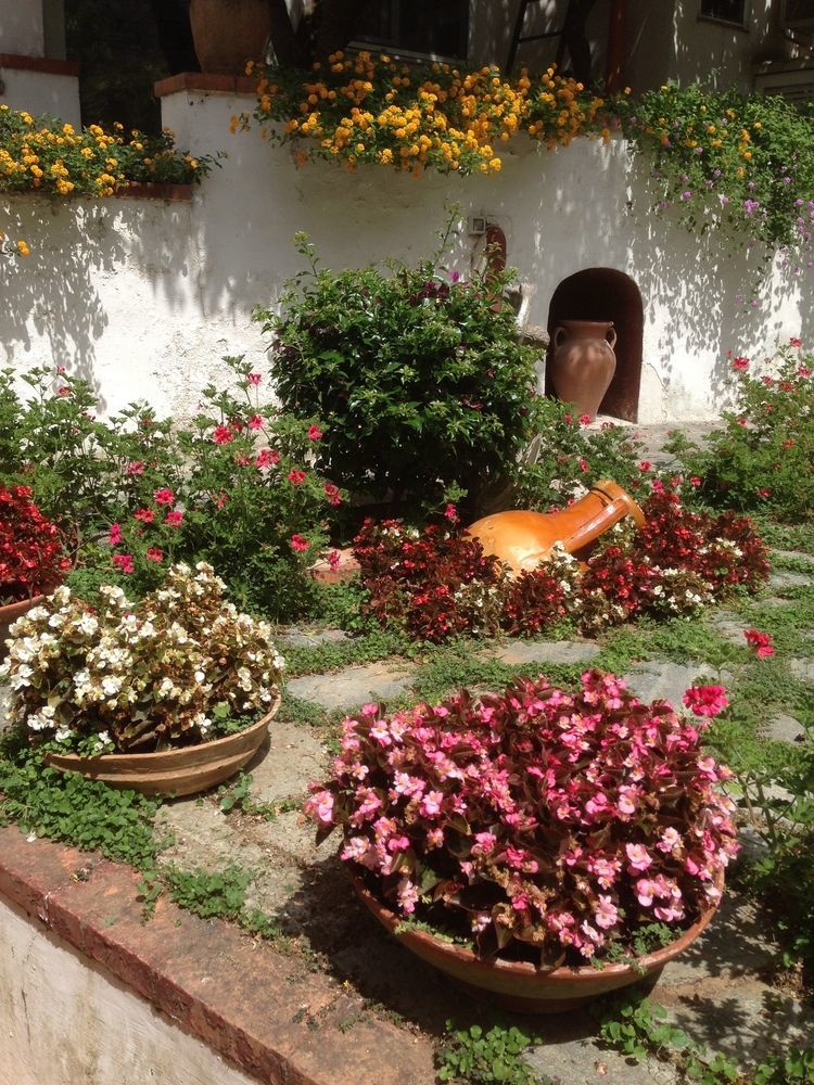 Mediterraneo Bed & Breakfast Anacapri  Eksteriør bilde
