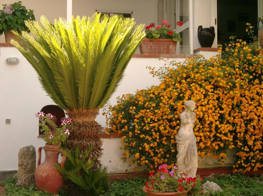 Mediterraneo Bed & Breakfast Anacapri  Eksteriør bilde