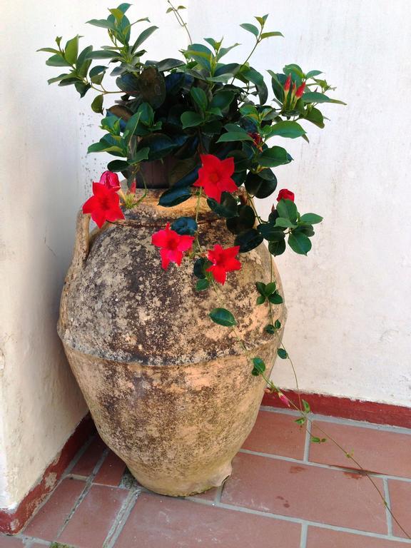 Mediterraneo Bed & Breakfast Anacapri  Eksteriør bilde