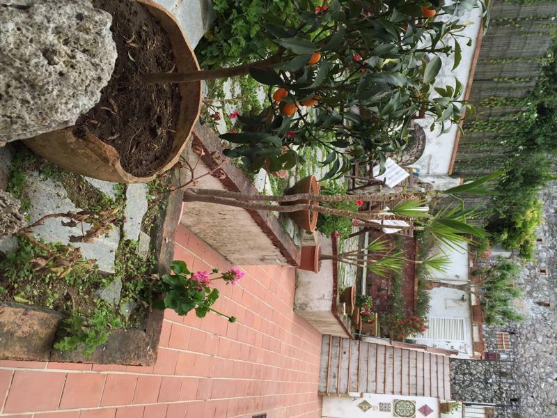 Mediterraneo Bed & Breakfast Anacapri  Eksteriør bilde