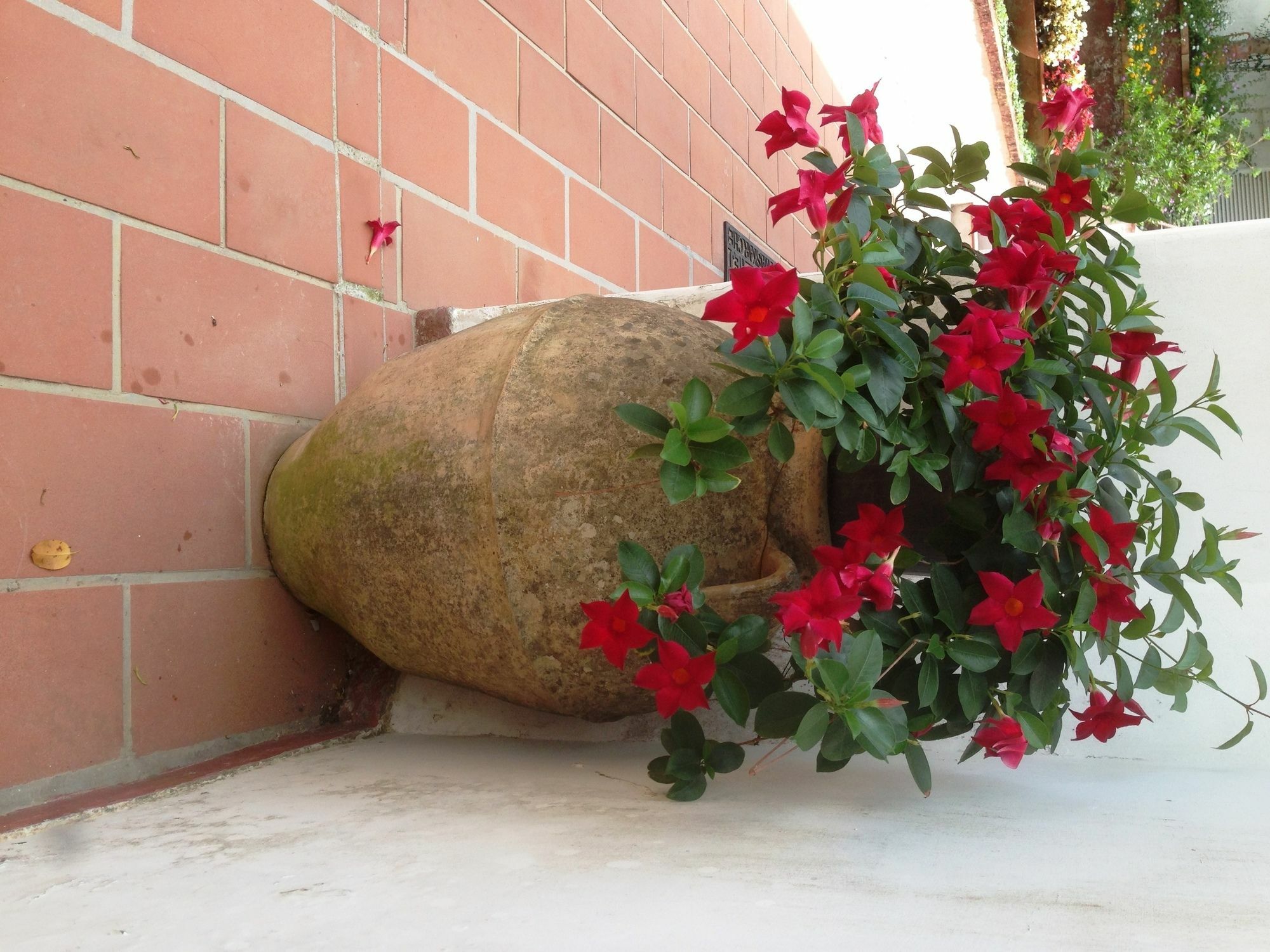 Mediterraneo Bed & Breakfast Anacapri  Eksteriør bilde